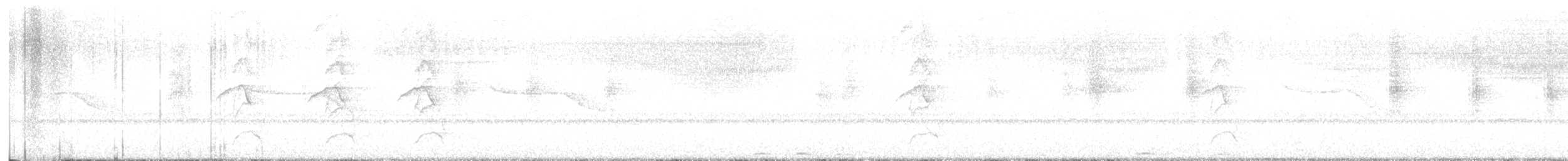 Breitspiegel-Nachtschwalbe - ML612535995