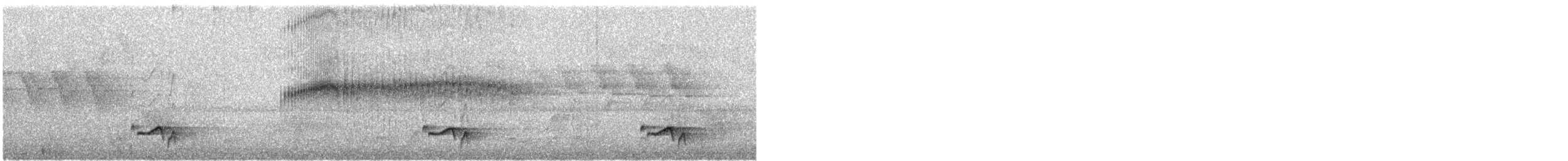 カタジロアマツバメ - ML612537687