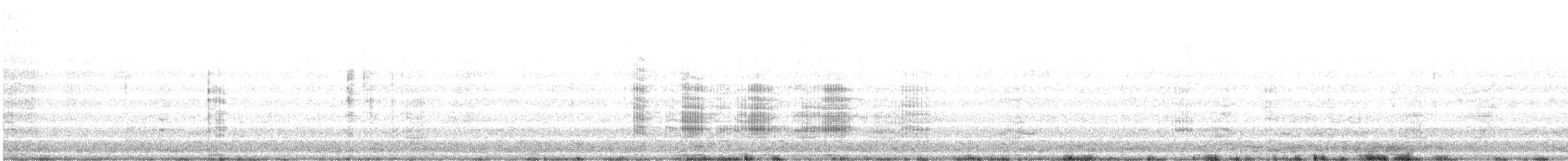 Neotropic Cormorant - ML612538825