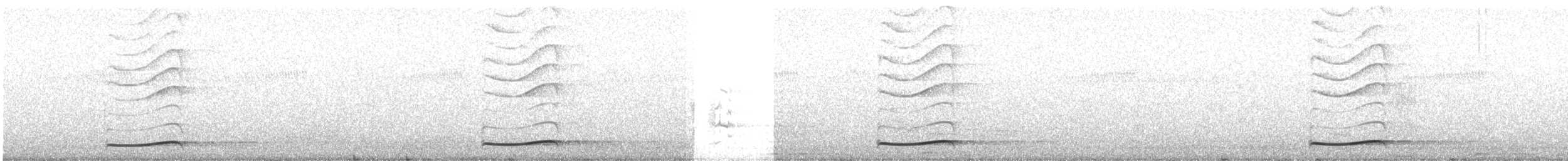 Тихоокеанский коэль - ML612539153