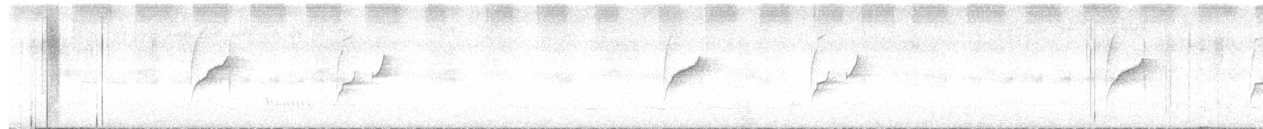 Weißbrauen-Dickichtschlüpfer - ML612541271