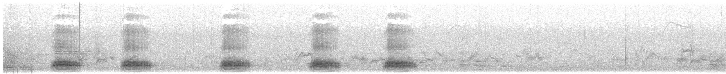 tykknebbkråke (levaillantii) (hindukråke) - ML612547152
