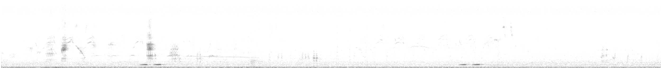 hærfugl (epops gr.) - ML612548179