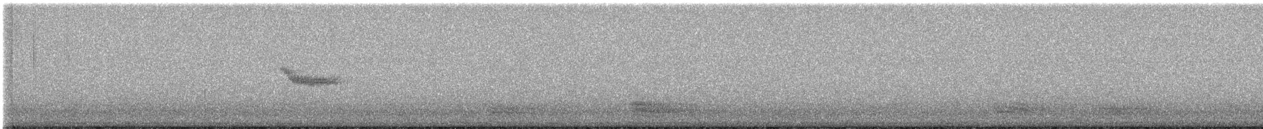 白斑紫嘯鶇 - ML612549465