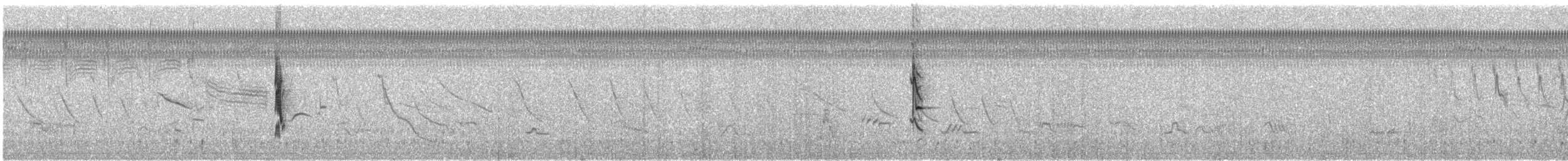 Kara Karınlı Tohumcul - ML612552554