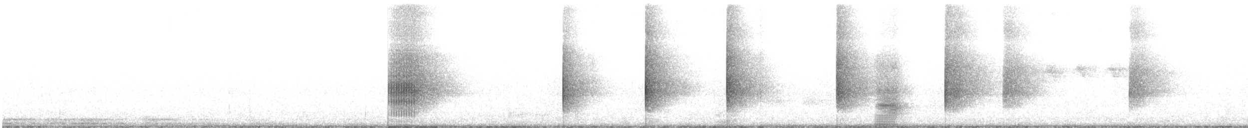 White-collared Manakin - ML612553623