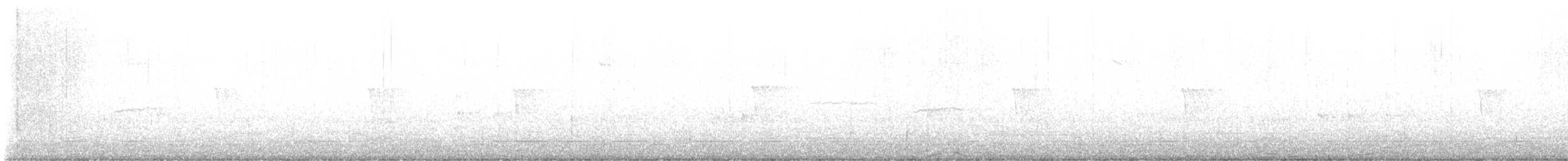 Светлобрюхий фиби - ML612553966