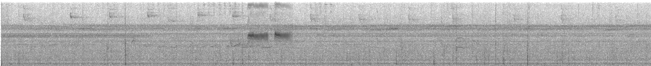 Серпокрилець-крихітка неотропічний - ML612554543