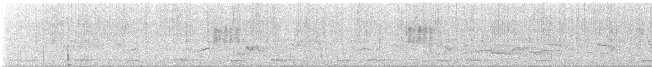 svarthodefluesnapper - ML612554687