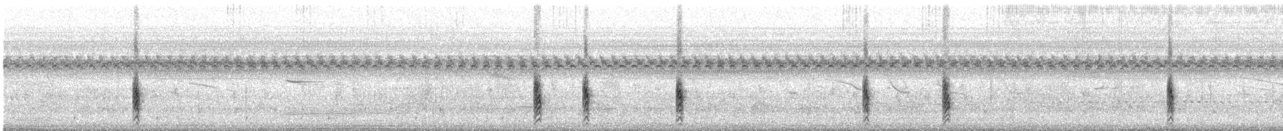 Carouge safran - ML612555258