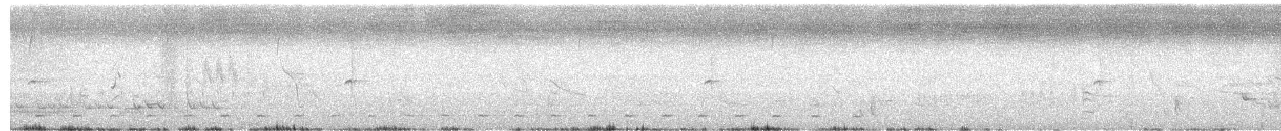 Austral Pygmy-Owl - ML612555452