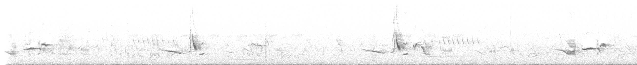 gråflanketrosteskvett - ML612556644