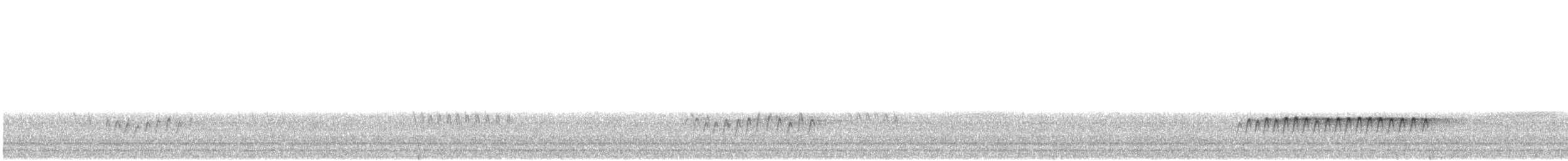 spettmeis (europaea gr.) - ML612558981