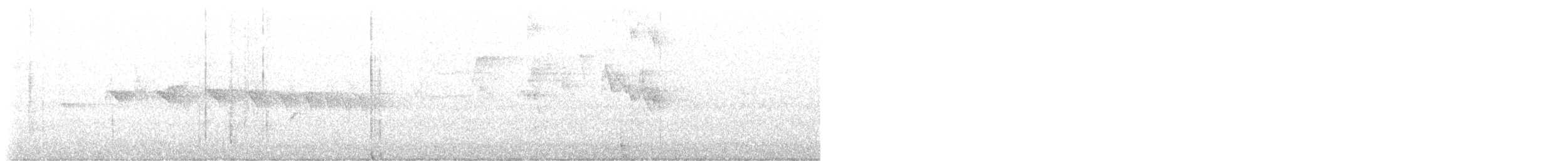 Kurzschwanz-Ameisenschlüpfer - ML612559282