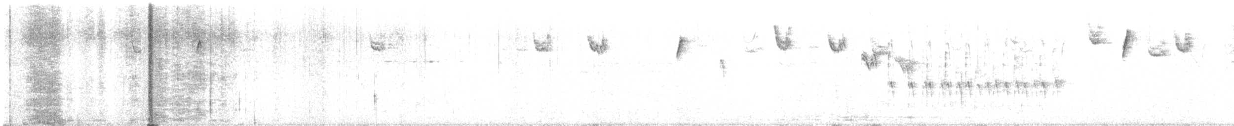 Troglodytidae, unbestimmt - ML612560875