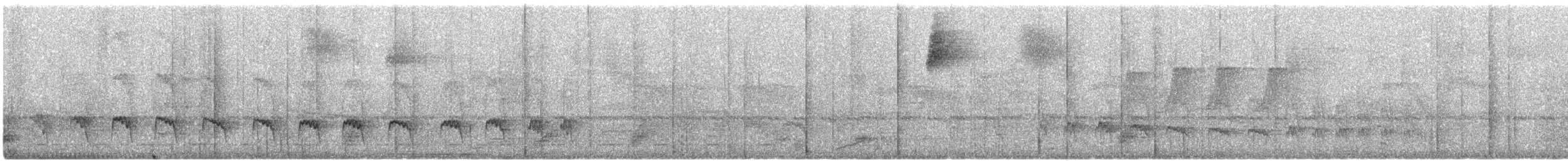 Weißflanken-Ameisenschlüpfer - ML612563846