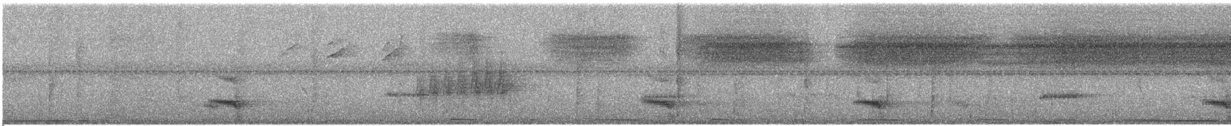 Channel-billed Toucan - ML612564246