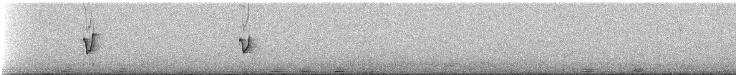 עלווית חורף קנרית - ML612564303