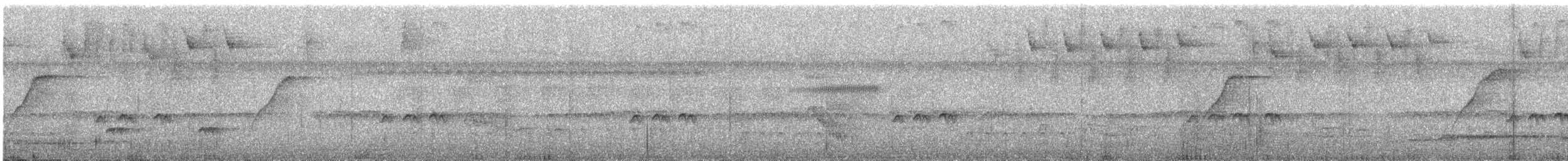 Ерміт світлочеревий - ML612564510