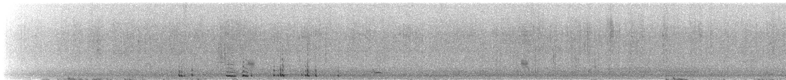 Cygne siffleur (columbianus) - ML612568810
