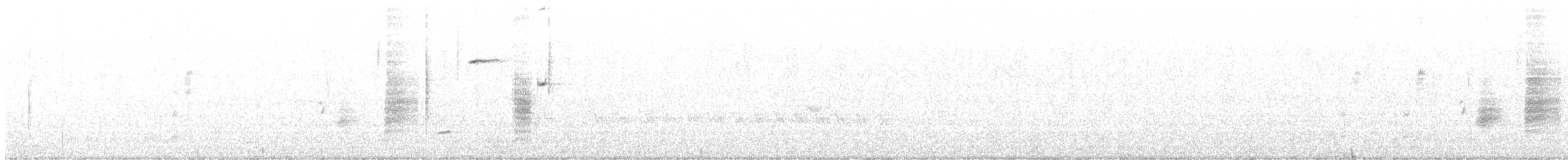 גיבתונית רוננת - ML612570748