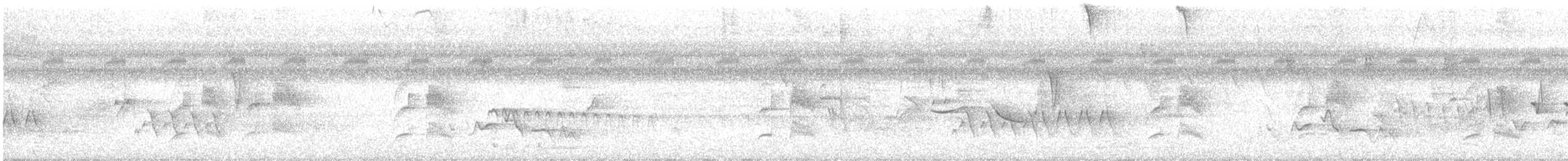 Black-tailed Tityra - ML612573173