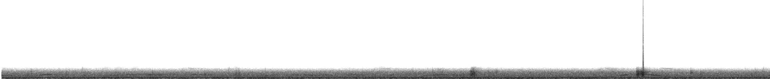 holub neotropický - ML612575138
