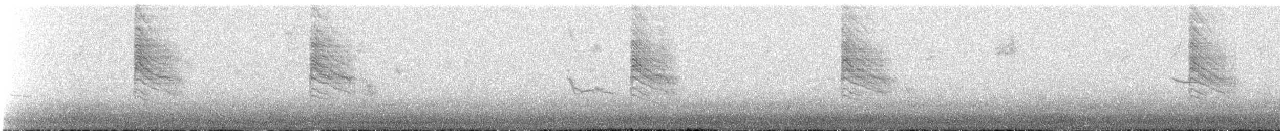 Gobemoucheron gris-bleu (groupe obscura) - ML612576047