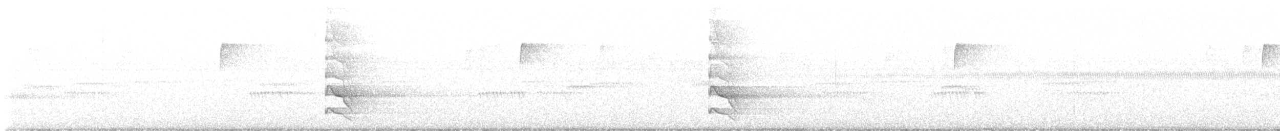 Шилоклювый дятел - ML612576391