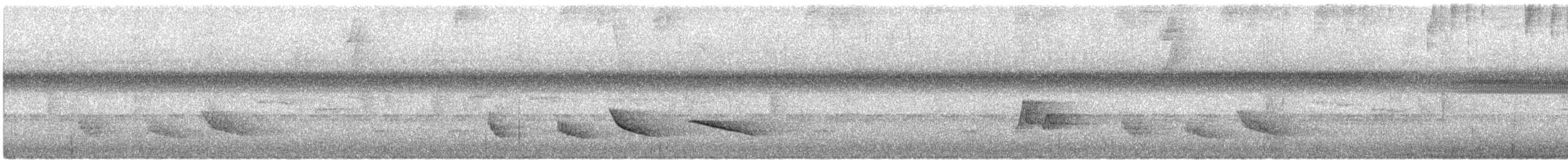 Зернолуск смугастоволий - ML612576632