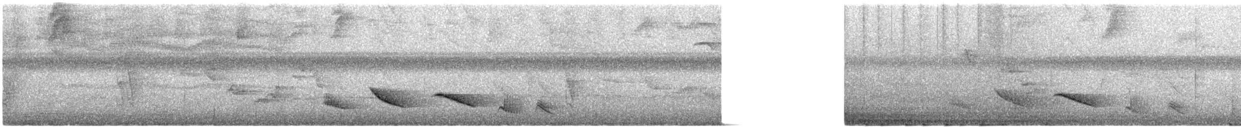 Зернолуск смугастоволий - ML612576698