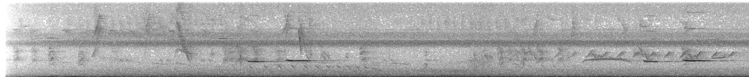 Striped Cuckoo - ML612576882