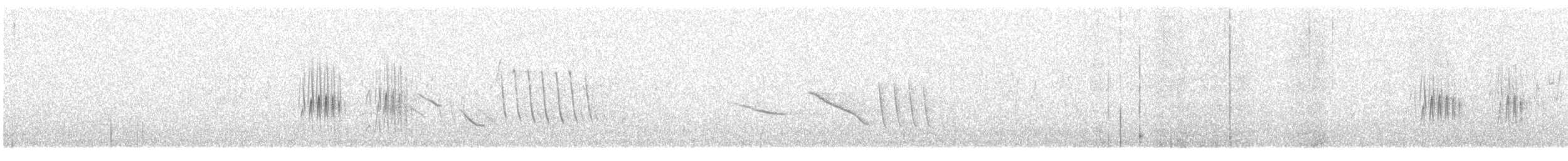 striperyggkurvfugl (sclateri gr.) - ML612578070