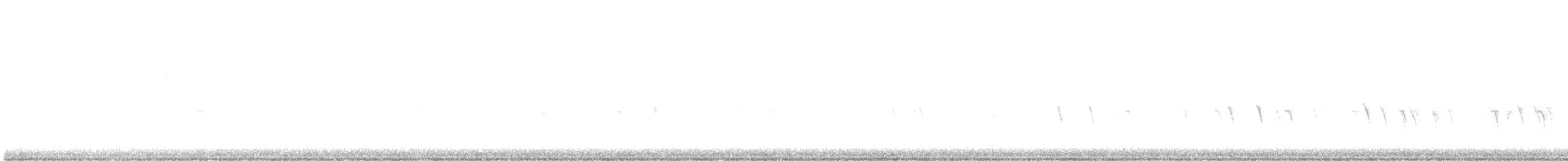 "Шишкар ялиновий (Appalachian, або тип 1)" - ML612578994