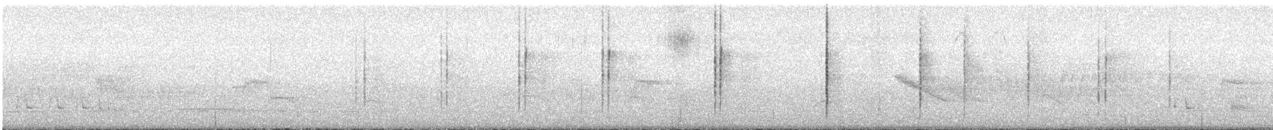 Трясохвіст темночеревий - ML612593051