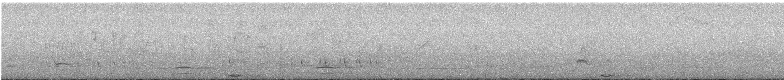 Great Grebe - ML612593203