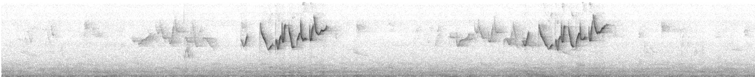 Gray-hooded Warbler - ML612595906