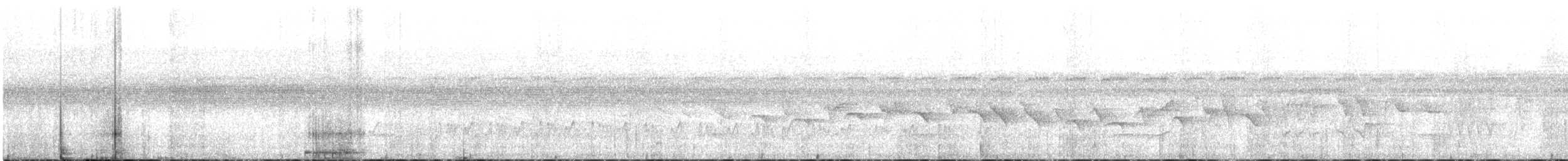 Kestane Karınlı Koca Tohumcul - ML612599662
