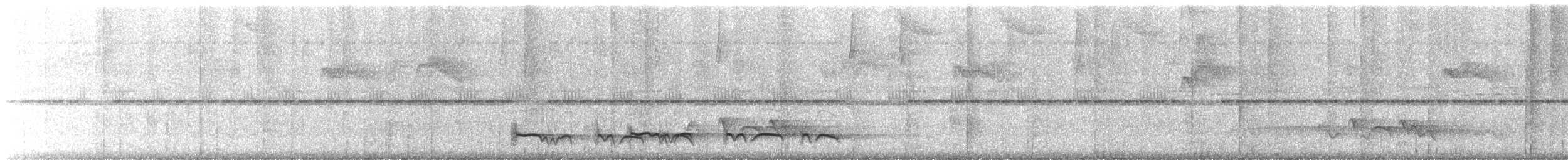 Лінивка-смугохвіст плямистобока - ML612600543