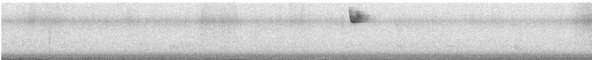 Белогорлая зонотрихия - ML612605229