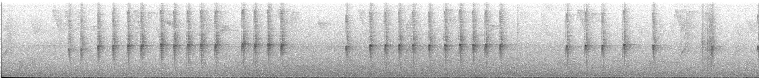 Пилоклювый колибри-отшельник - ML612606637
