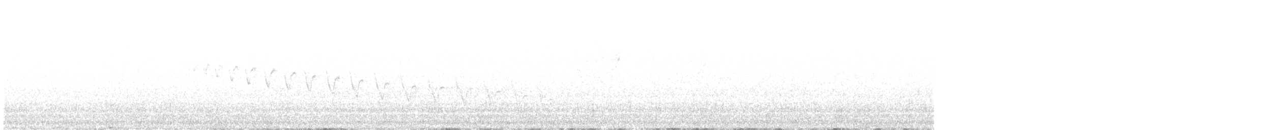 Каньонный крапивник - ML612607826
