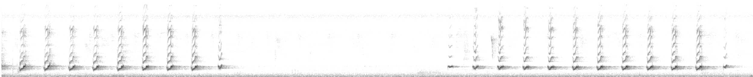 Chevêchette brune (groupe brasilianum) - ML612608083