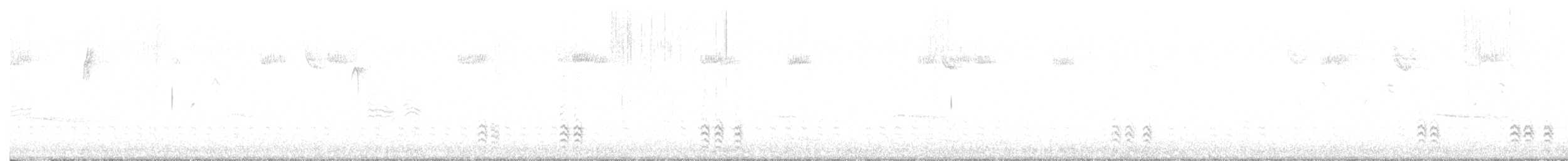 Weißbrustkleiber - ML612611635