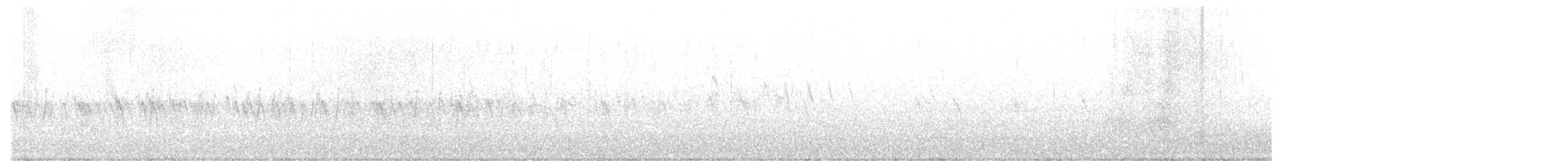 Шишкар ялиновий - ML612612268
