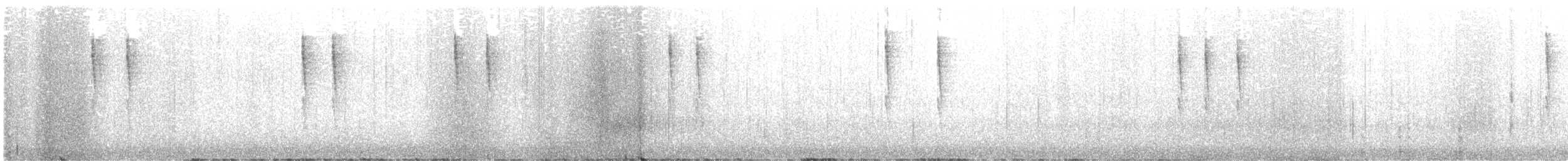 Troglodyte de Baird - ML612617068