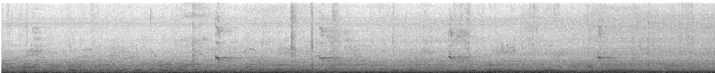 Декол плямистоволий - ML612617991