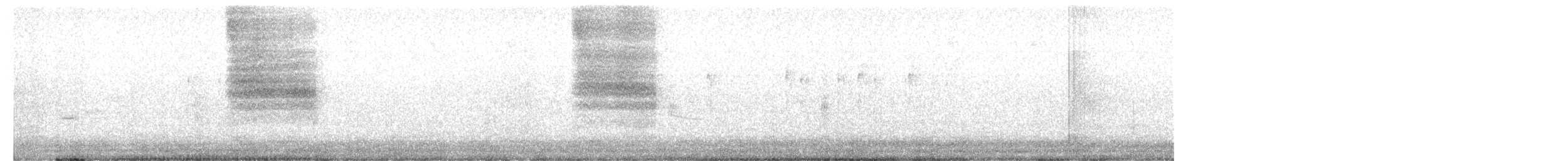 Black-tailed Gnatcatcher - ML612620570
