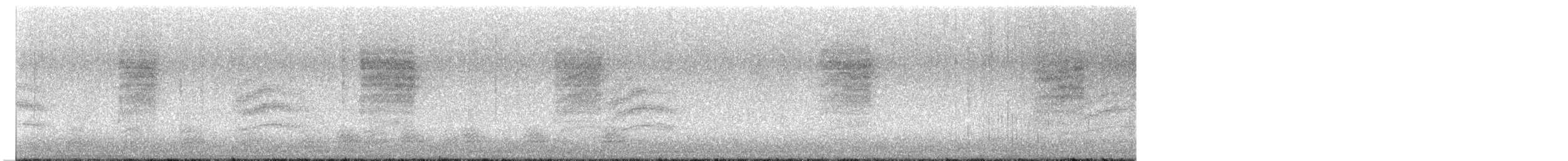 Bewick's Wren - ML612622299