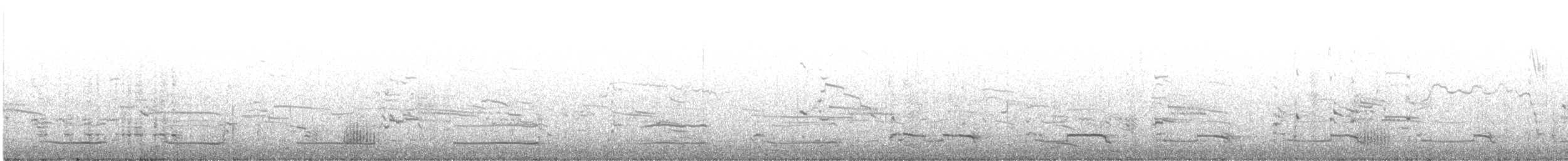 斑背潛鴨 - ML612629162